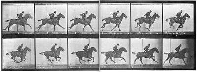 muybridge_large.jpg