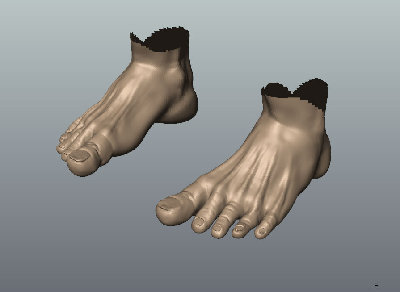 upper-feet.jpg